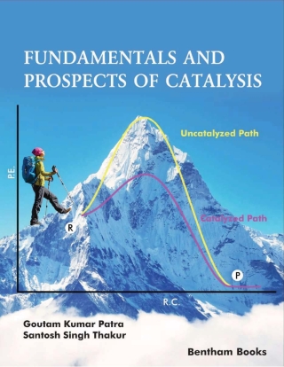 Cover image: Fundamentals and Prospects of Catalysis 1st edition 9789811458491