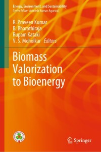 表紙画像: Biomass Valorization to Bioenergy 9789811504099