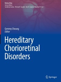 Titelbild: Hereditary Chorioretinal Disorders 1st edition 9789811504136