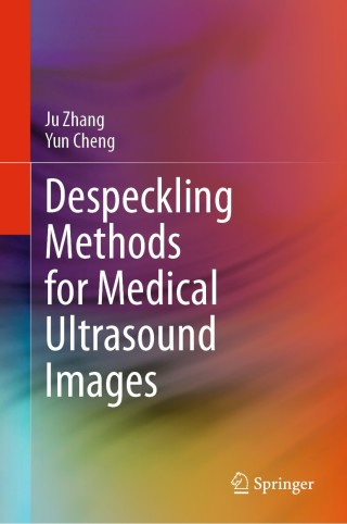 表紙画像: Despeckling Methods for Medical Ultrasound Images 9789811505157