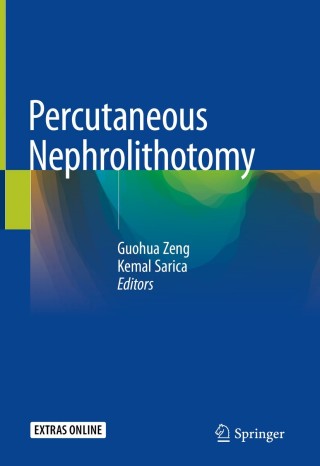 Imagen de portada: Percutaneous Nephrolithotomy 1st edition 9789811505744