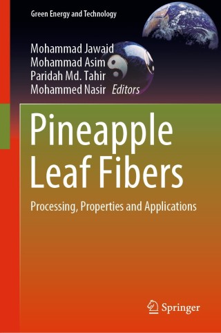 صورة الغلاف: Pineapple Leaf Fibers 1st edition 9789811514159
