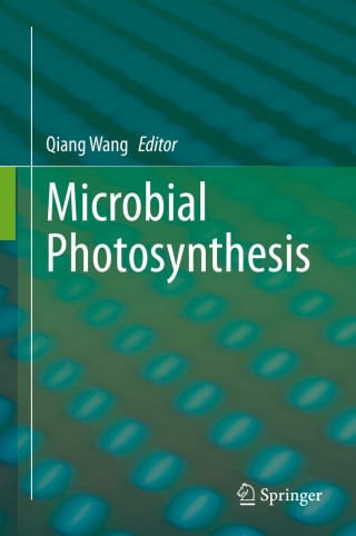 Imagen de portada: Microbial Photosynthesis 1st edition 9789811531095
