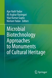 Cover image: Microbial Biotechnology Approaches to Monuments of Cultural Heritage 1st edition 9789811534003