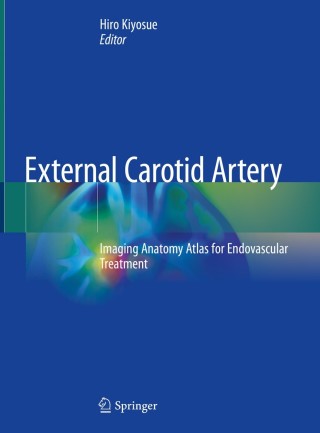 Immagine di copertina: External Carotid Artery 1st edition 9789811547850