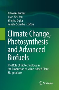 Immagine di copertina: Climate Change, Photosynthesis and Advanced Biofuels 1st edition 9789811552274