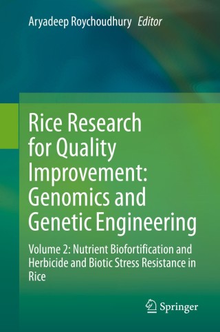 Omslagafbeelding: Rice Research for Quality Improvement: Genomics and Genetic Engineering 1st edition 9789811553363