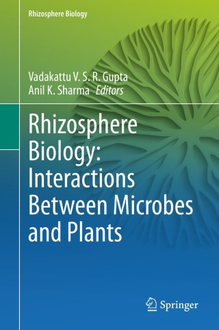 Cover image: Rhizosphere Biology: Interactions Between Microbes and Plants 1st edition 9789811561245
