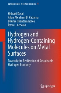 Imagen de portada: Hydrogen and Hydrogen-Containing Molecules on Metal Surfaces 9789811569937