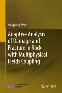 Cover image: Adaptive Analysis of Damage and Fracture in Rock with Multiphysical Fields Coupling 9789811571961