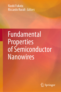 Imagen de portada: Fundamental Properties of Semiconductor Nanowires 1st edition 9789811590498