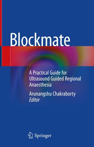 Imagen de portada: Blockmate 1st edition 9789811592010