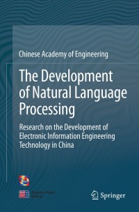 Imagen de portada: The Development of Natural Language Processing 9789811619854