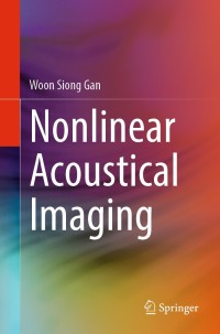 صورة الغلاف: Nonlinear Acoustical Imaging 9789811670145