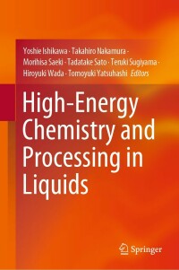 Imagen de portada: High-Energy Chemistry and Processing in Liquids 9789811677977