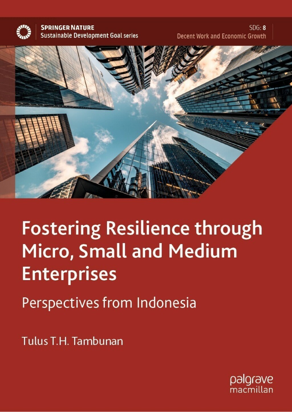Fostering Resilience through Micro, Small and Medium Enterprises Perspectives from Indonesia