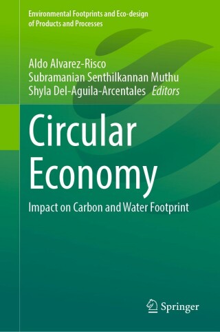 Imagen de portada: Circular Economy 9789811905483