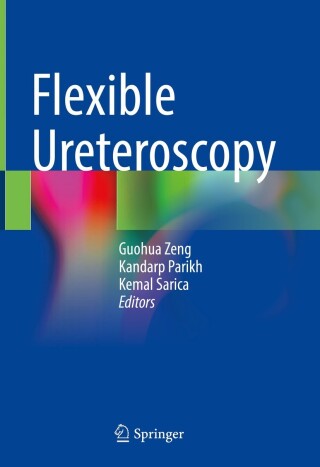 Cover image: Flexible Ureteroscopy 9789811929359