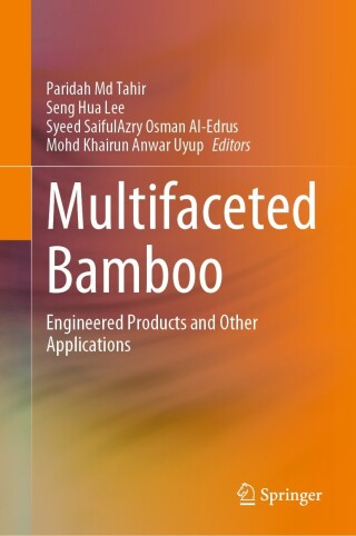 Imagen de portada: Multifaceted Bamboo 9789811993268