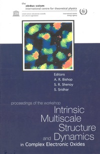 Cover image: INTRINSIC MULTISCALE STRUCTURE & DYNAM.. 9789812382689