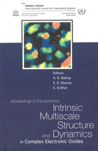 صورة الغلاف: INTRINSIC MULTISCALE STRUCTURE & DYNAM.. 9789812382689