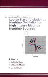 Cover image: NEW INITIATIVES ON LEPTON FLAVOR VIOL... 9789812380845