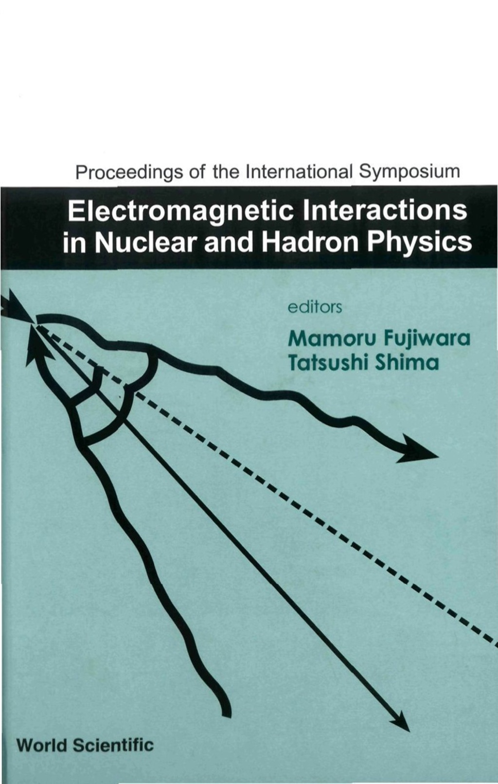ELECTROMAGNETIC INTERACTIONS IN NUCLEA..