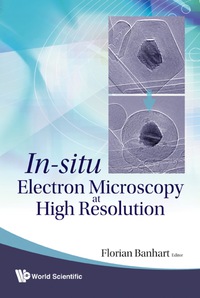 Omslagafbeelding: In-situ Electron Microscopy At High Resolution 9789812797339