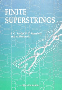 表紙画像: Finite Superstrings 1st edition 9789810209698