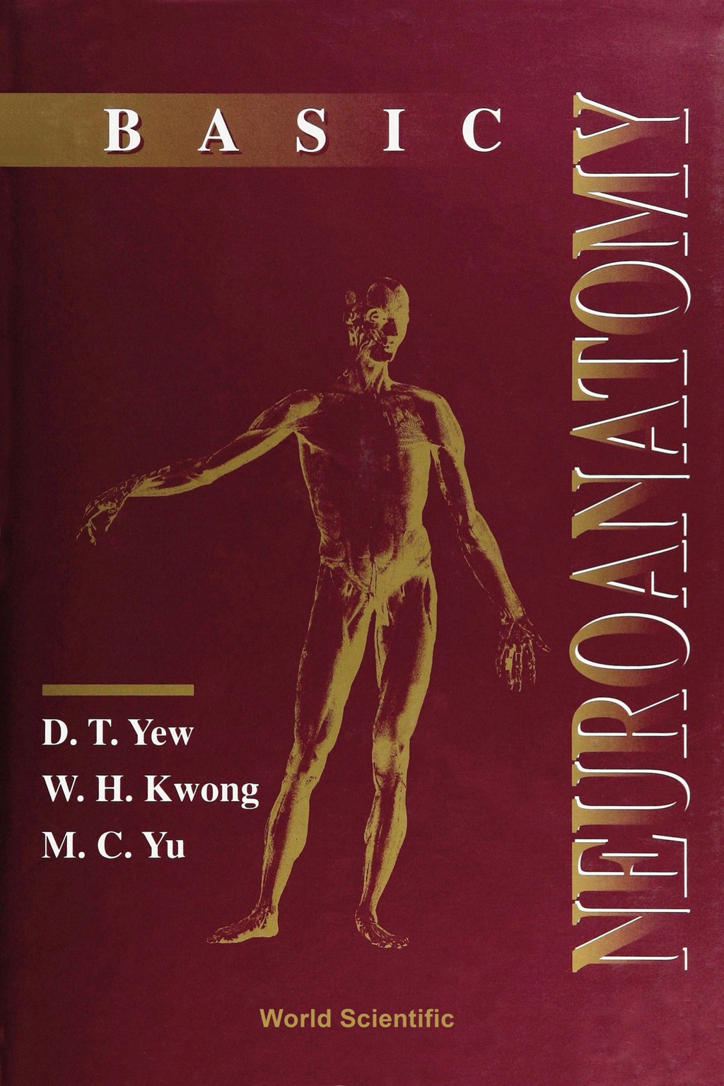 BASIC NEUROANATOMY