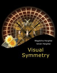 Cover image: Visual Symmetry 9789812835314