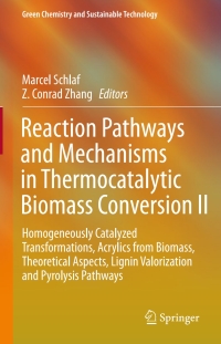 Imagen de portada: Reaction Pathways and Mechanisms in Thermocatalytic Biomass Conversion II 9789812877680