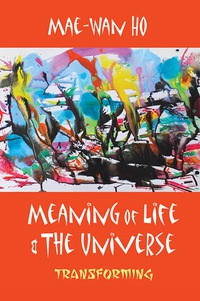 Omslagafbeelding: MEANING OF LIFE AND THE UNIVERSE: TRANSFORMING 9789813108875