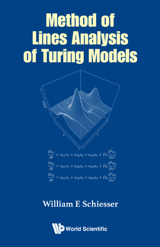 Imagen de portada: Method of Lines Analysis of Turing Models 9789813226692