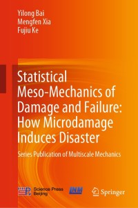 Imagen de portada: Statistical Meso-Mechanics of Damage and Failure: How Microdamage Induces Disaster 9789813291911