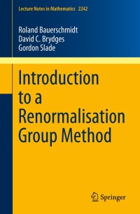 表紙画像: Introduction to a Renormalisation Group Method 9789813295919
