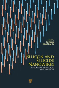 Cover image: Silicon and Silicide Nanowires 1st edition 9789814303460