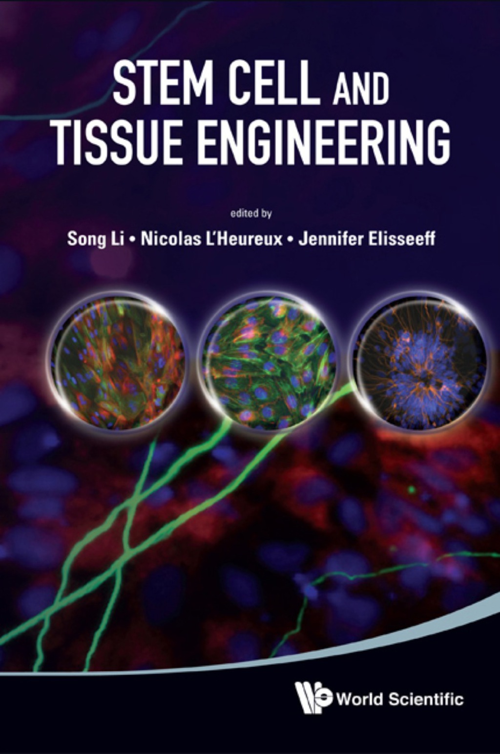 STEM CELL AND TISSUE ENGINEERING (eBook)
