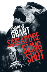 Cover image: Singapore Sling Shot 9789810592257