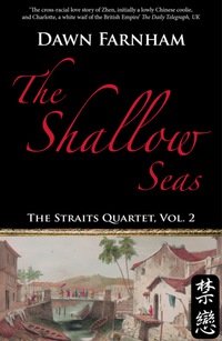 Omslagafbeelding: The Shallow Seas 9789810810795