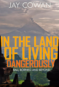 Cover image: In the Land of Living Dangerously