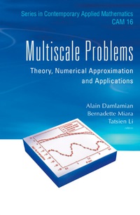 表紙画像: MULTISCALE PROBLEMS 9789814366885