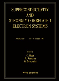 Omslagafbeelding: Superconductivity And Strongly Correlated Electron Systems 9789810220389