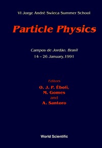 صورة الغلاف: Particle Physics - Vi Jorge Andre Swieca Summer School 9789810210380