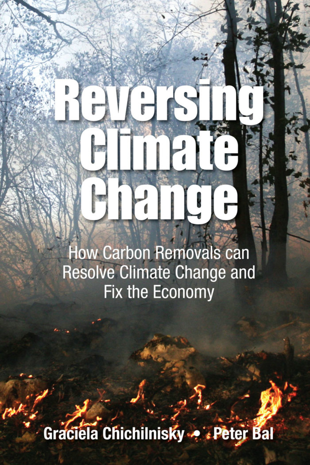 Reversing Climate Change: How Carbon Removals can Resolve Climate Change and Fix the Economy