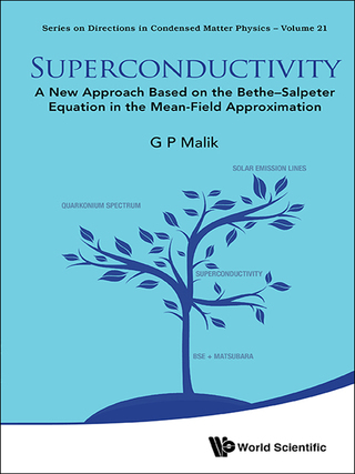 Cover image: Superconductivity: A New Approach Based on the Bethe–Salpeter Equation in the Mean-Field Approximation 9789814733076