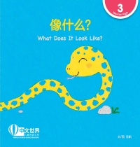 Imagen de portada: 像什么？What Does It Look Like? (Level 3) 1st edition 9789814889766