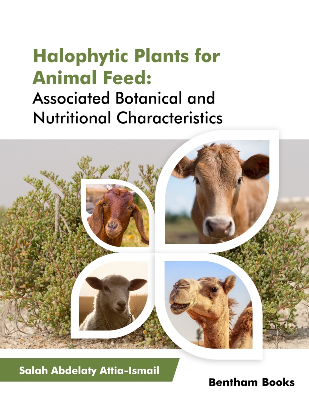 Halophytic Plants for Animal Feed: Associated Botanical and Nutritional Characteristics 1st Edition