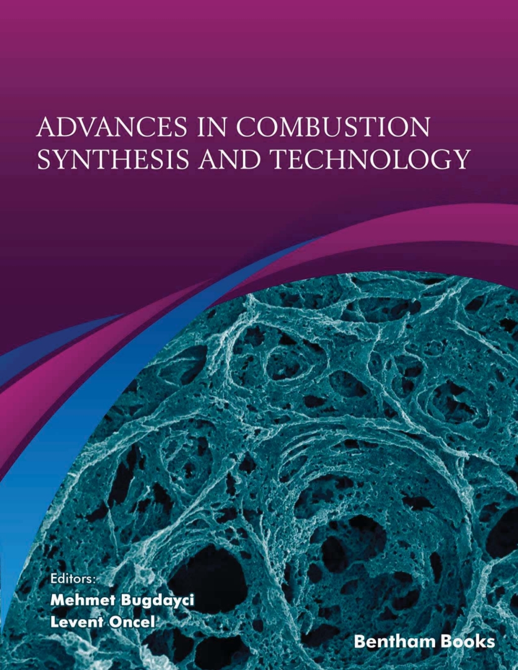 Advances in Combustion Synthesis and Technology 1st Edition