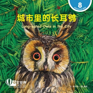 Imagen de portada: 城市里的长耳鸮 Long-eared Owls in the City (Level 8) 1st edition 9789811731280